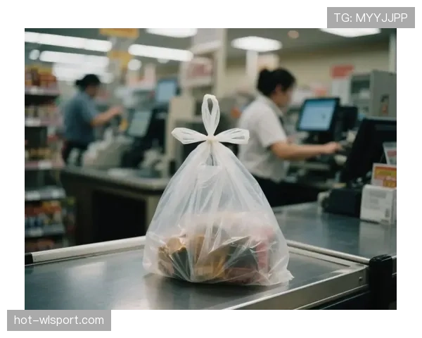 张帅提着超市塑料袋出酒店，门口那把车钥匙亮得我差点不认识世界